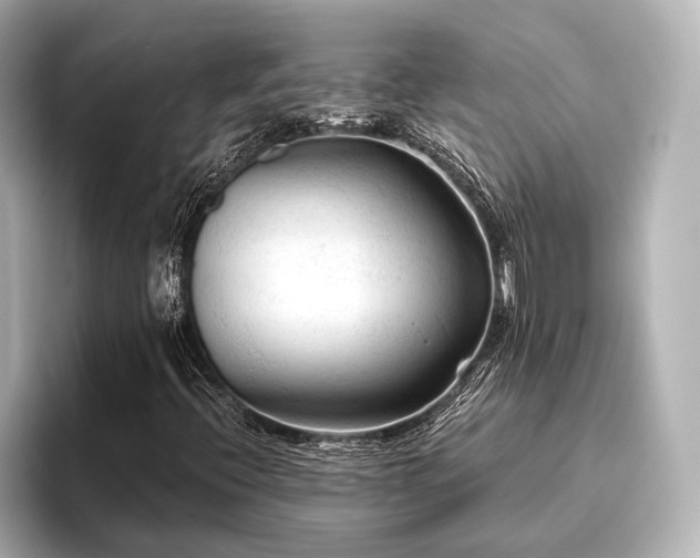 X0000096441396200801241349