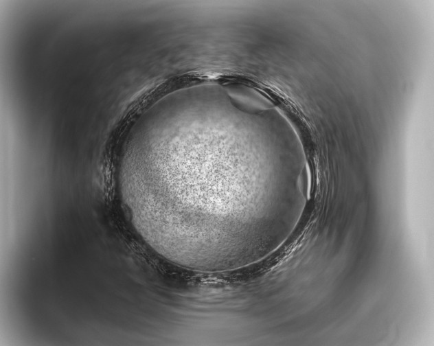 X0000096441398200801241349
