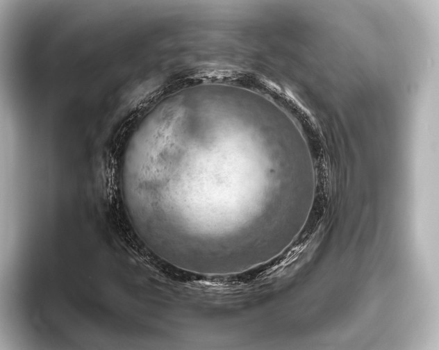 X0000096441399200801241349
