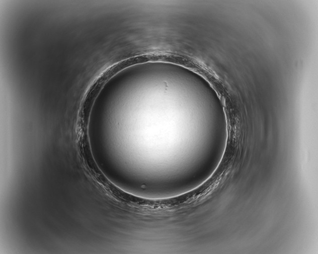 X0000096441400200801241349