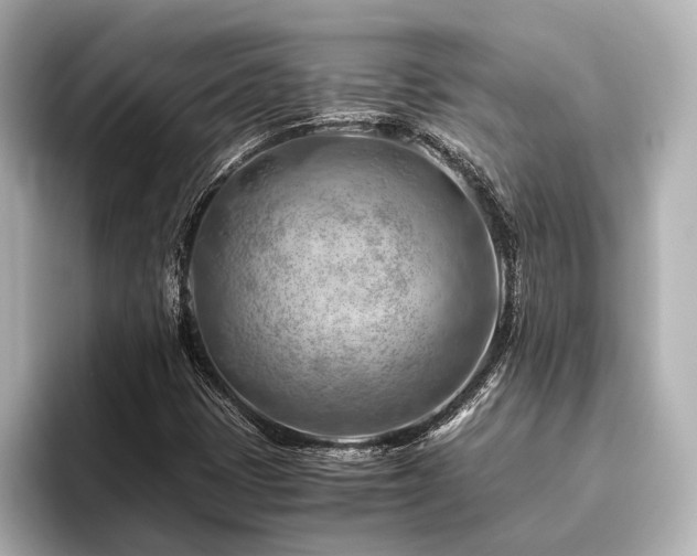 X0000096441401200801241349