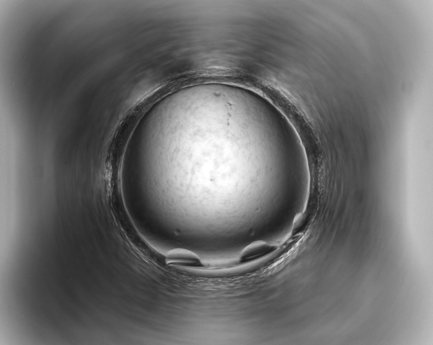X0000096441402200801241349