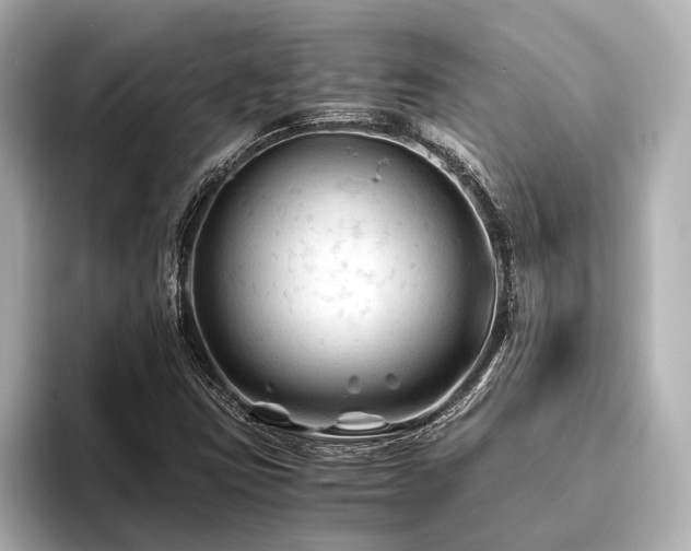 X0000096441403200801241349
