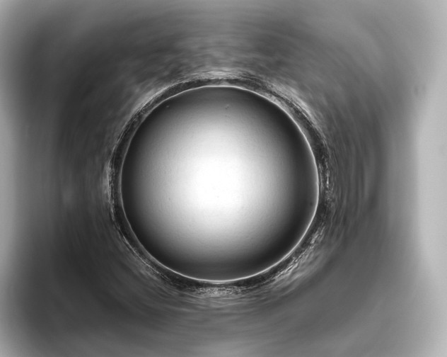 X0000096441404200801241349