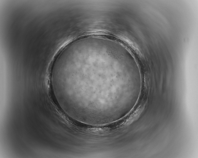 X0000096441405200801241349
