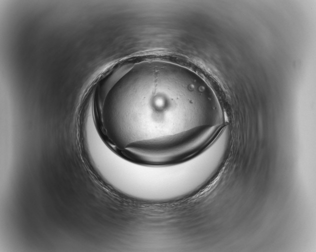 X0000096441406200801241349