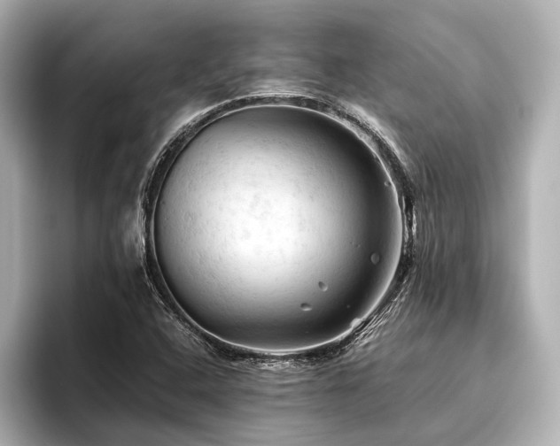 X0000096441408200801241349