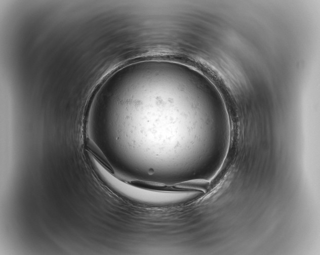 X0000096441409200801241349