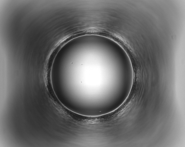 X0000096441410200801241349