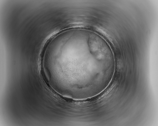 X0000096441411200801241349