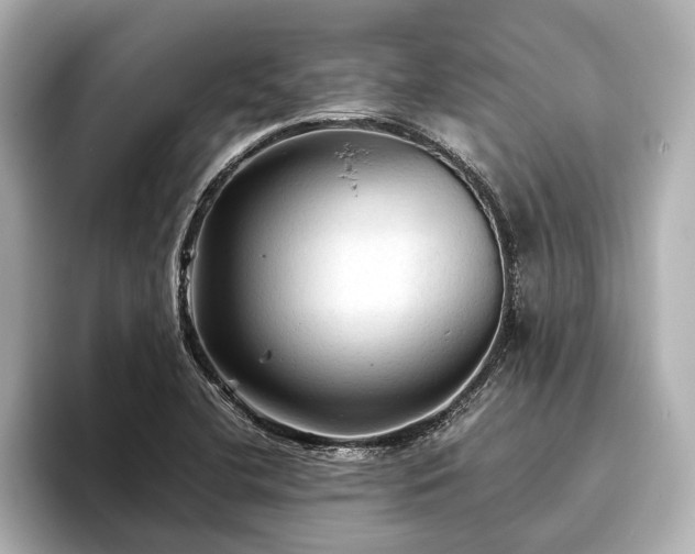 X0000096441412200801241349