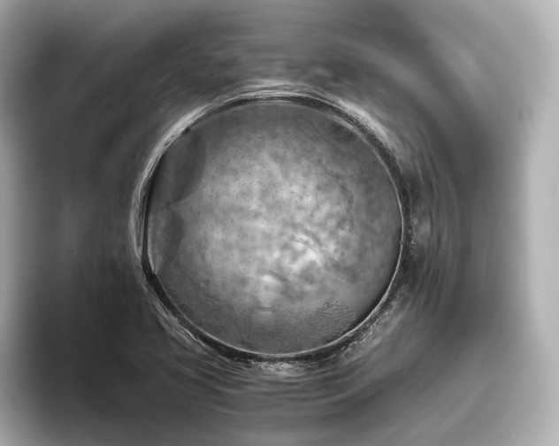 X0000096441413200801241349