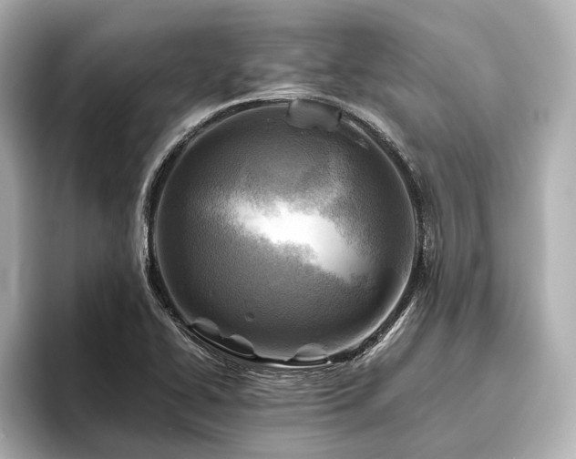 X0000096441414200801241349
