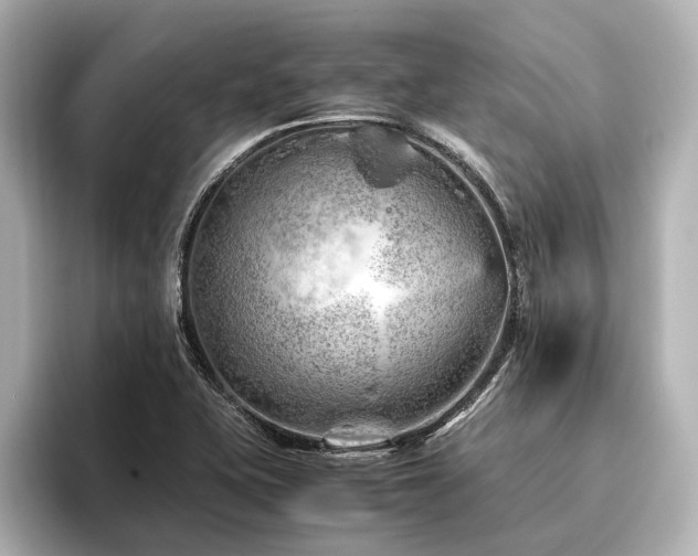 X0000096441415200801241349