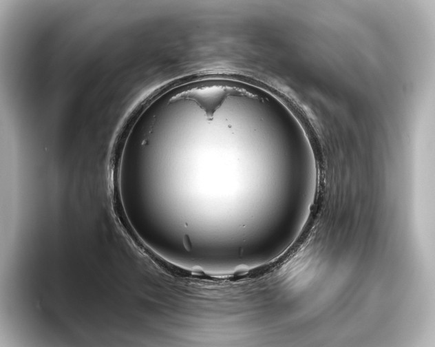 X0000096441416200801241349