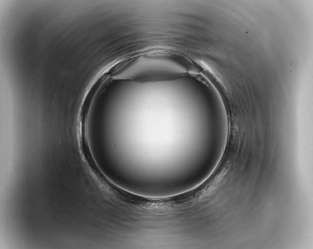 X0000096441418200801241349