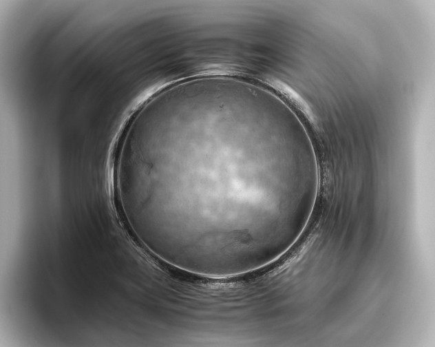 X0000096441419200801241349