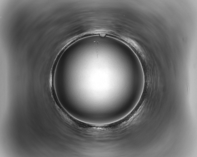 X0000096441420200801241349