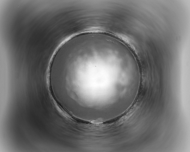 X0000096441421200801241349