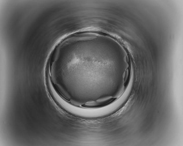 X0000096441422200801241349