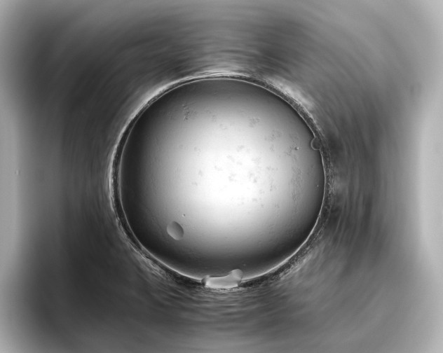 X0000096441423200801241349