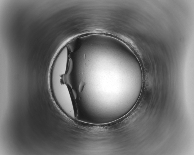 X0000096441424200801241349