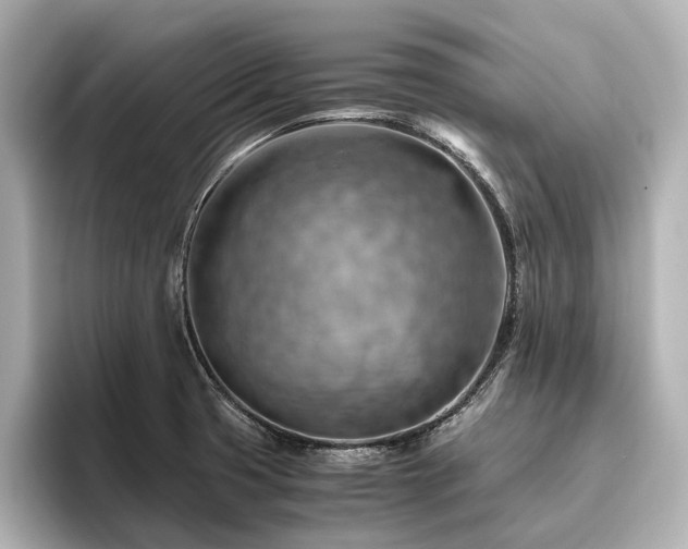 X0000096441425200801241349
