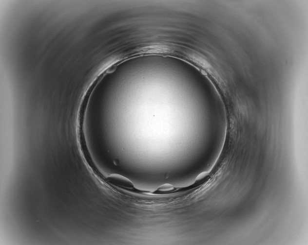 X0000096441426200801241349