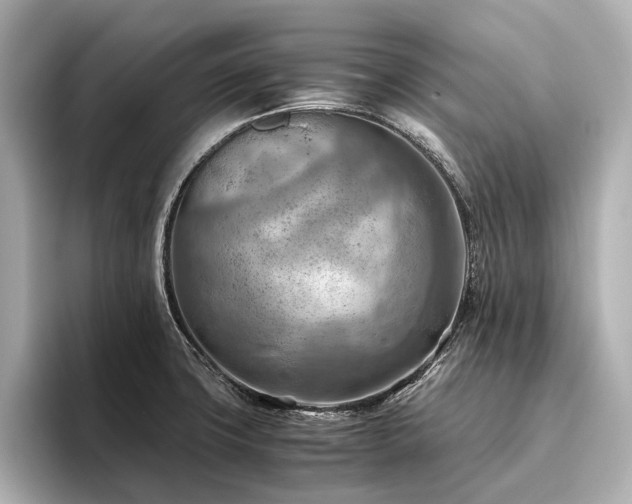 X0000096441427200801241349