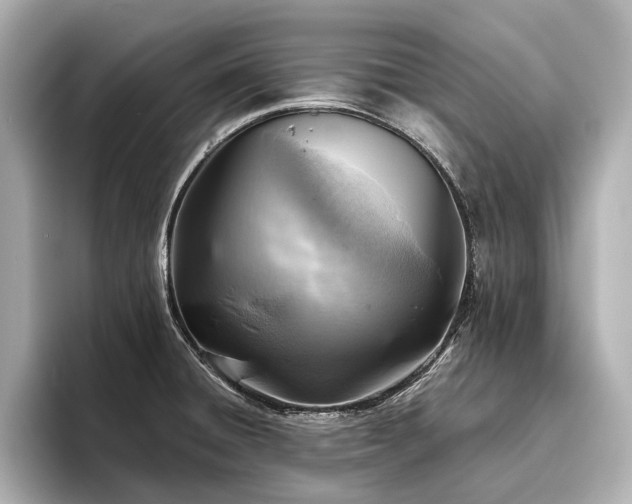 X0000096441428200801241349