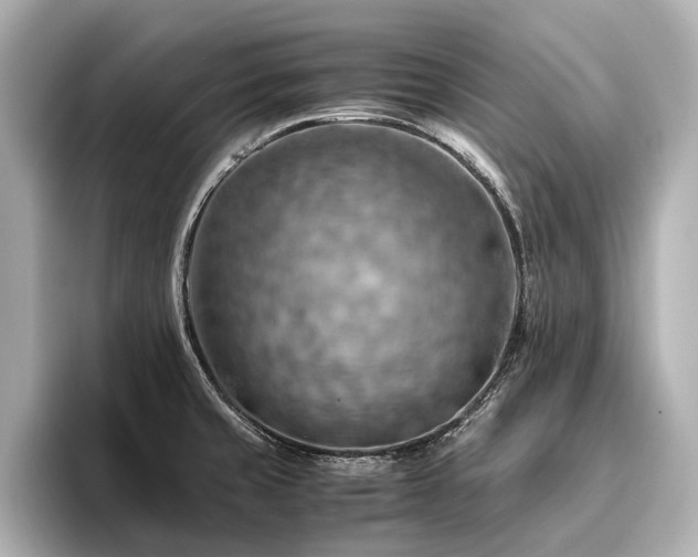 X0000096441429200801241349