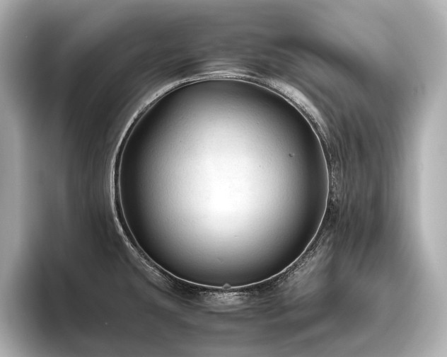 X0000096441431200801241349