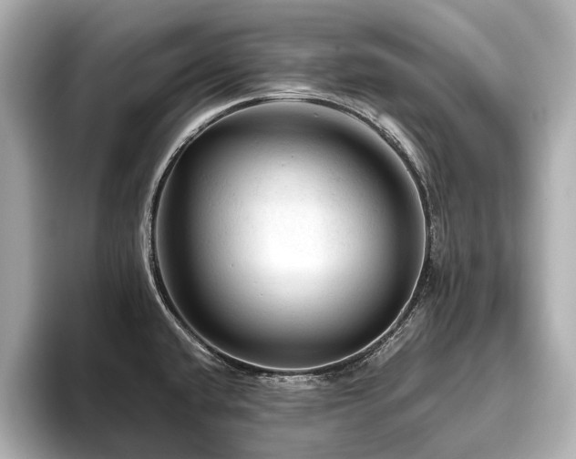 X0000096441432200801241349