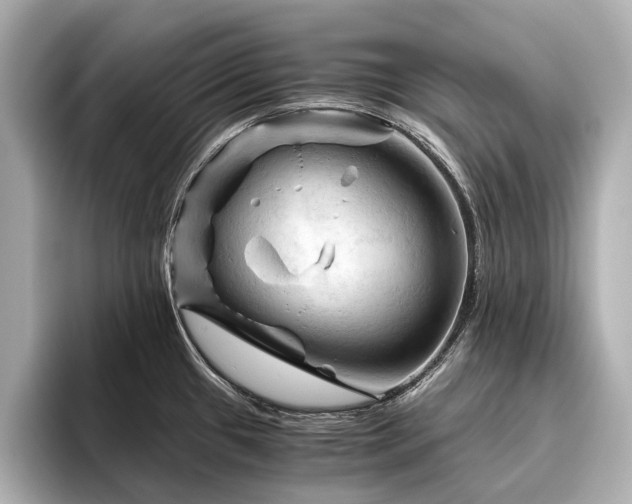 X0000096441433200801241350