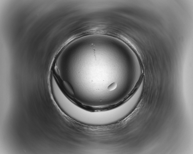 X0000096441434200801241350
