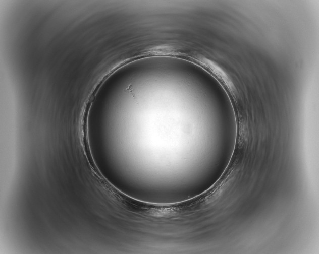 X0000096441435200801241350
