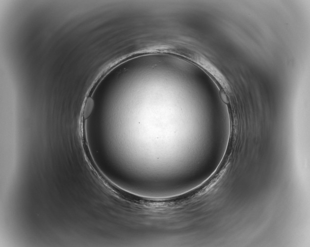 X0000096441436200801241350