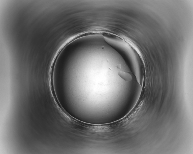 X0000096441437200801241350