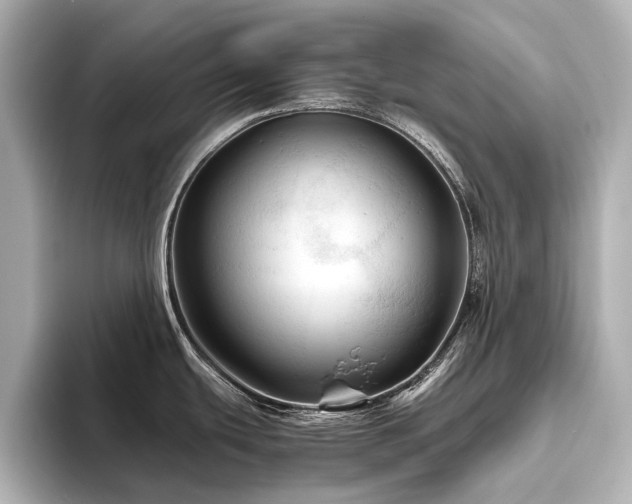 X0000096441439200801241350