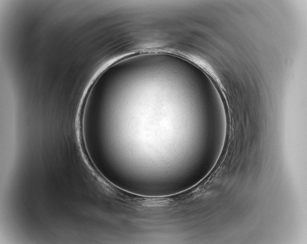 X0000096441440200801241350