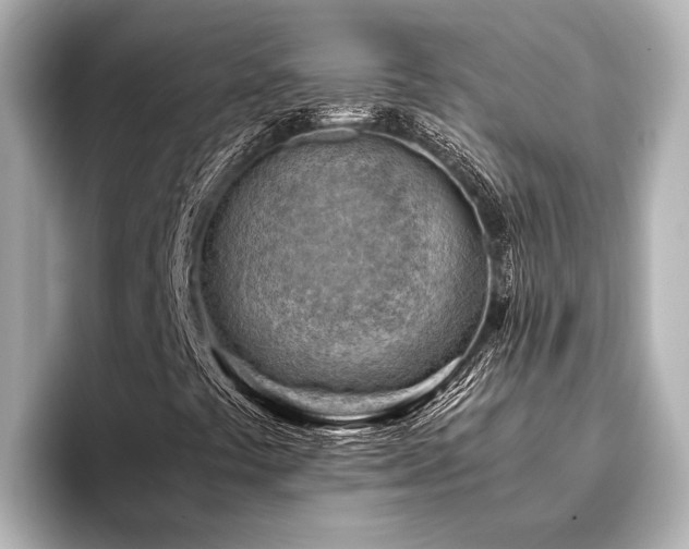 X0000096441441200801241349