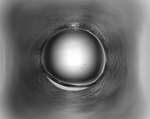 X0000096441442200801241349