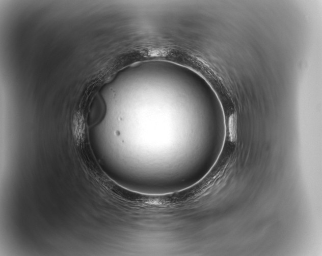 X0000096441443200801241349