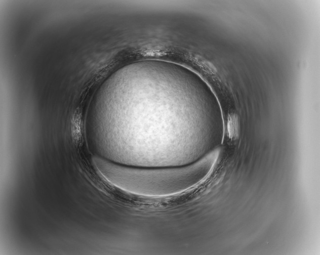 X0000096441444200801241349