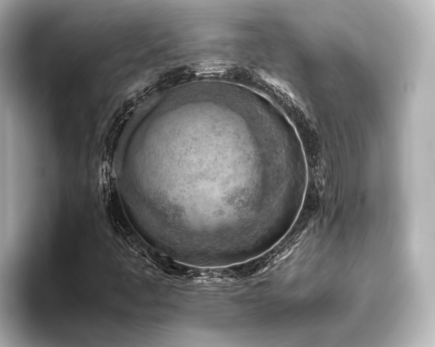 X0000096441445200801241349