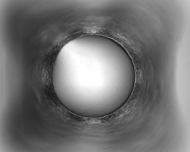 X0000096441446200801241349