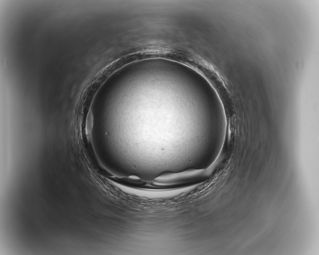 X0000096441448200801241349