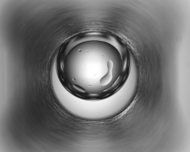 X0000096441449200801241349