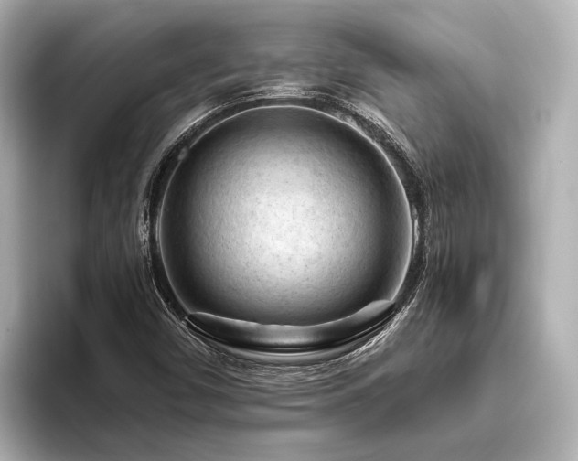 X0000096441450200801241349