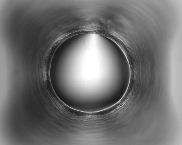 X0000096441451200801241349